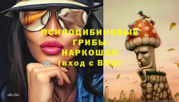 синтетический гашиш Алексеевка