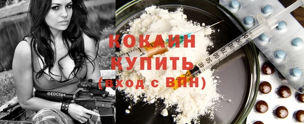 соль ск Алексин